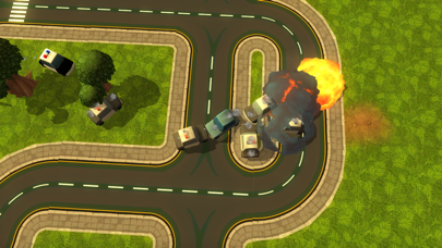 Screenshot #2 pour Survival Race