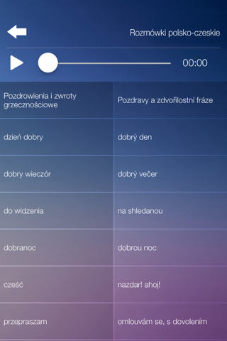 Rozmówki polsko-czeskie - nauka języka czeskiego screenshot 3
