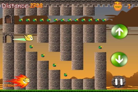 Flying Bear - Honey Battle Game screenshot 4