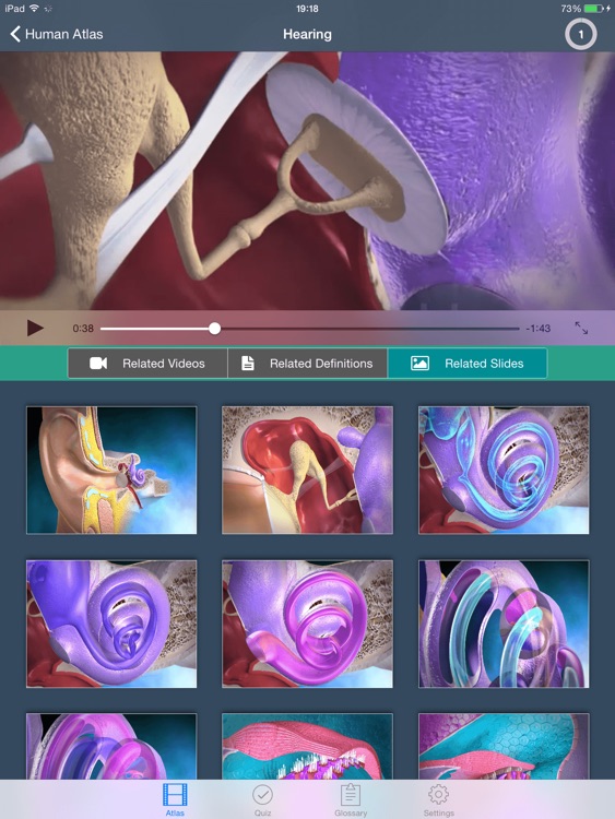 Physiology Human Atlas screenshot-3