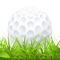Test your knowledge about Golf with our trivia questions which range from the simplest trivia to the rules of the game