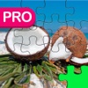 Top Jigsaw Puzzle With Tropical Adventures World