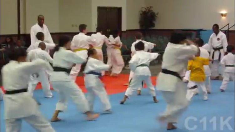 Karate For Children screenshot-3