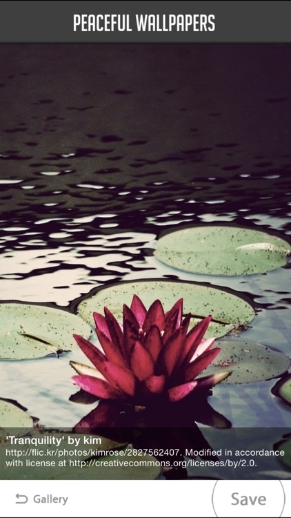 Peaceful Wallpapers screenshot-4