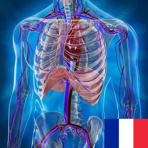 Atlas d'anatomie humaine icon