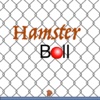 Hamster Ball Run