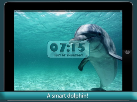 Dolphin Alarm Clock screenshot 3