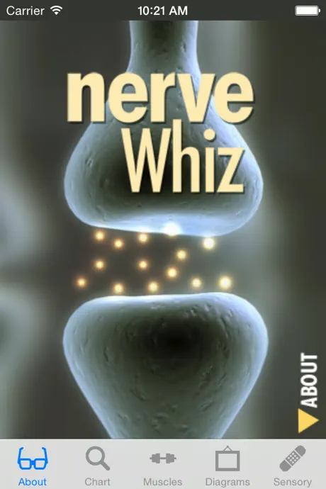 Nerve Whiz