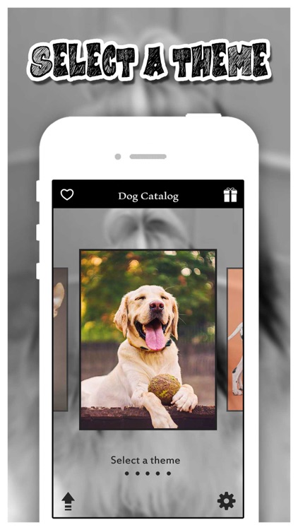 Dog Catalog HD - Photo Gallery & Wallpapers of Dog Breads FREE screenshot-3