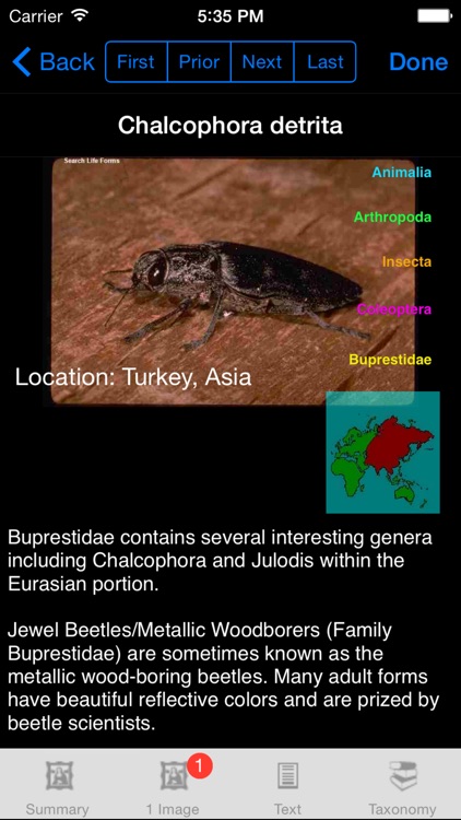 Beetles of the World - Coleoptera - A Beetle App screenshot-3