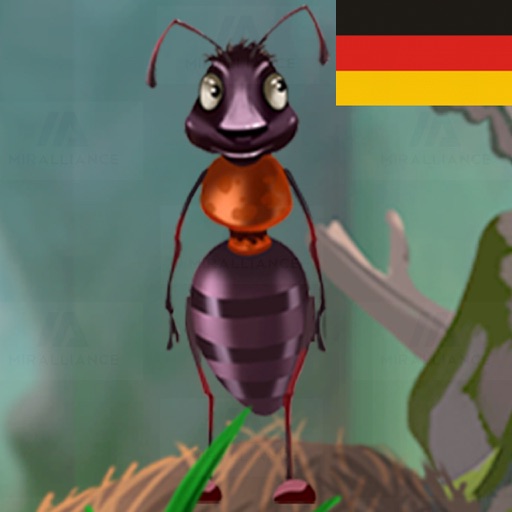 ÜBER DIE AMEISE