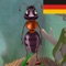 Dieses Buch wird Sie Sie mit fabelhaften Illustrationen, Vertonung und zahlreichen Animationen beeindrucken