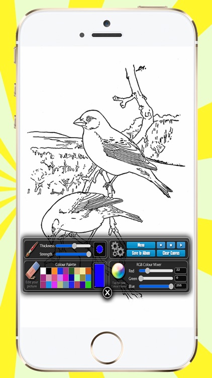 Coloring Book Birds