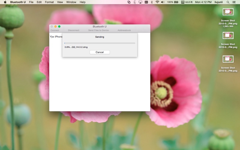 Screenshot #2 pour File Deliver