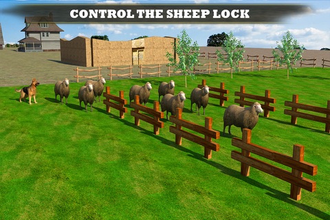Farm Dog vs Stray Sheep screenshot 4