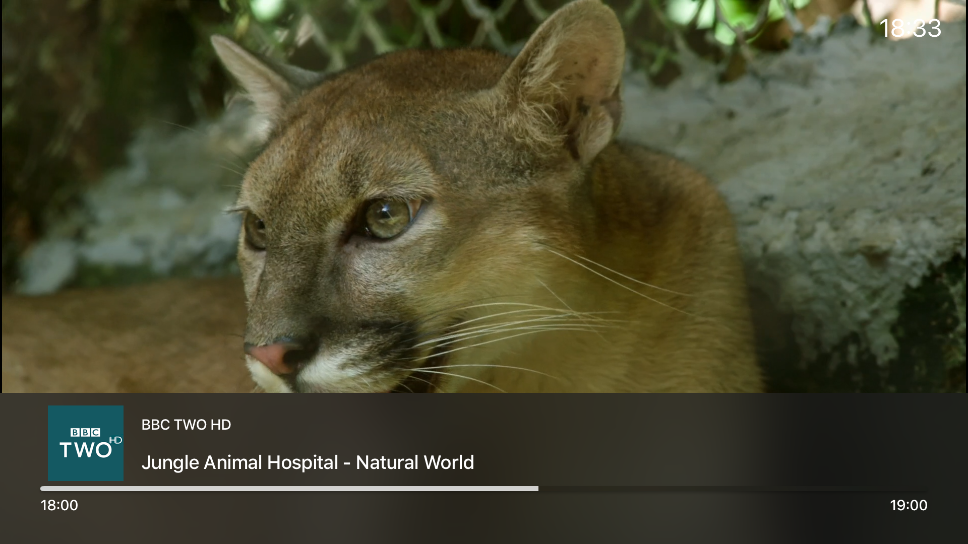 TvhClient