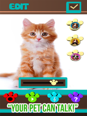 Screenshot #4 pour Mon Pet peut Parlez Vidéos - Parler virtuel jeu des animaux