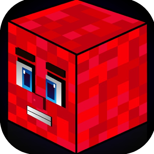 Action Craft Mini Blockheads Match 3 Skins Survival Game icon