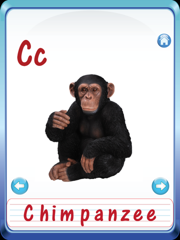 Baby Animals & Birds English ABC Alphabets Flash Cards for preschool kindergarten boys & girls apps iPad screenshot