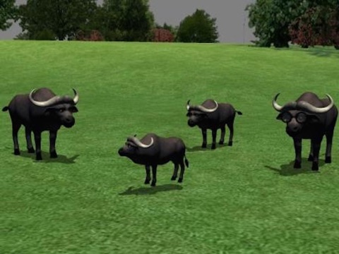 Filthy Buffalo 3D