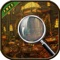 HIDDEN OBJECT  : DREAM DAY FIRST HOME