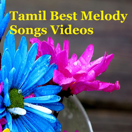 Tamil Best Melody Songs Videos icon