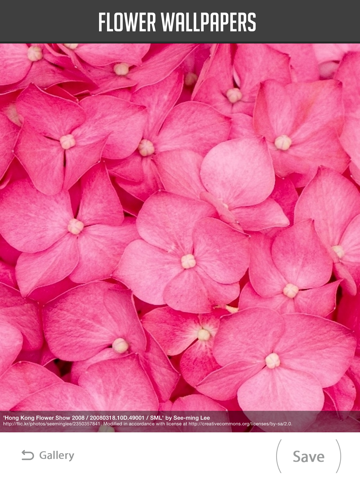 Screenshot #5 pour Flower Wallpaper