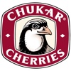 Chukar