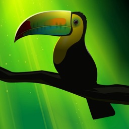 Vector PaintPad (векторный редактор)