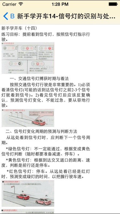 新手学开车 screenshot-3