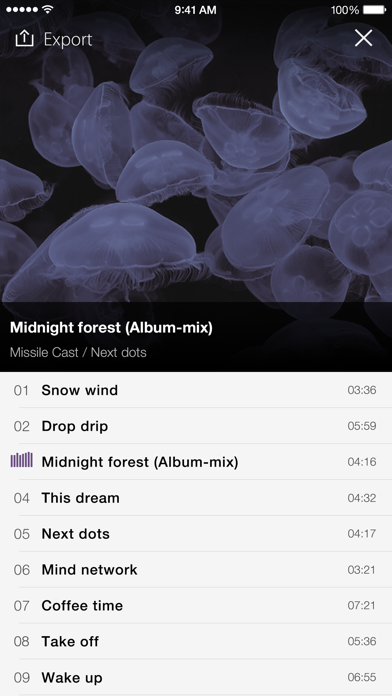 PSOFT Audio Player screenshot1