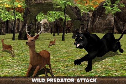 Real Black Panther 3D - Wild Predator Jungle Attack in Animal Hunting Simulation Game screenshot 3