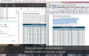 pdf to word free iphone capturas de pantalla 2