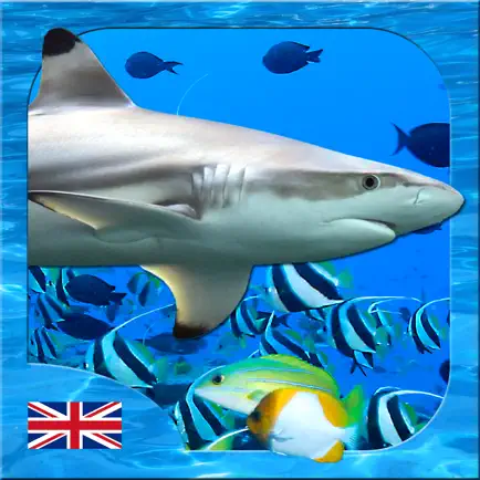 UK Aquariums Читы