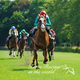 Horse Racing in the World