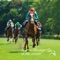 More than 300 exciting videos of horse racing