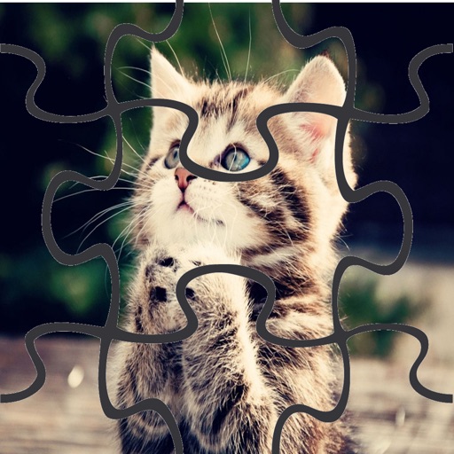 Cute Cat JigSaw Puzzle Game for Kids Free iOS App