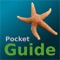 Pocket Guide UK Seashore is a great reference guide for Beach Combers, Foragers, Ramblers, Walkers or just when enjoying Rock Pooling with your children on a day out at the beach