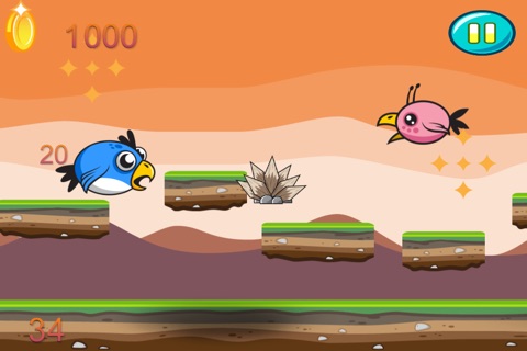 A Flappy Pet Bird  Fly In An Epic Flying Challenge Saga! - HD Pro screenshot 2