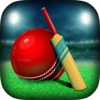 Cricket for Rajni