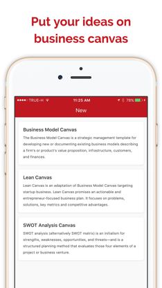 Startup Canvas screenshot 1
