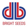 Bright Seeds