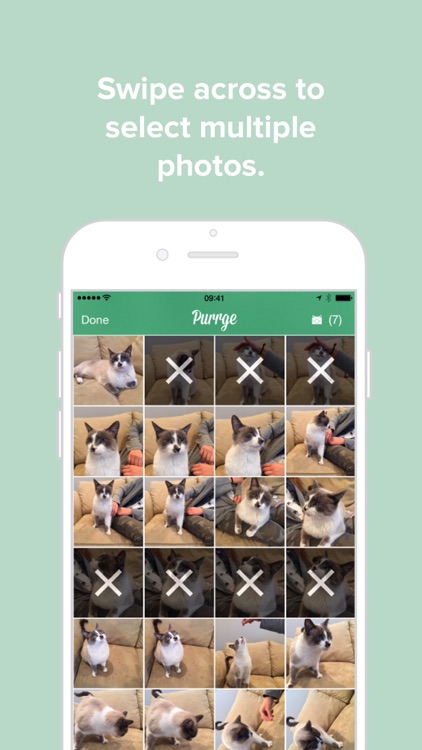Purrge screenshot-0