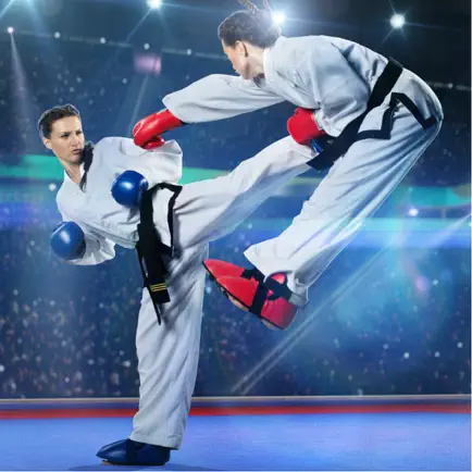 Karate Lessons - Learn How To Improve Your Karate Technique Cheats