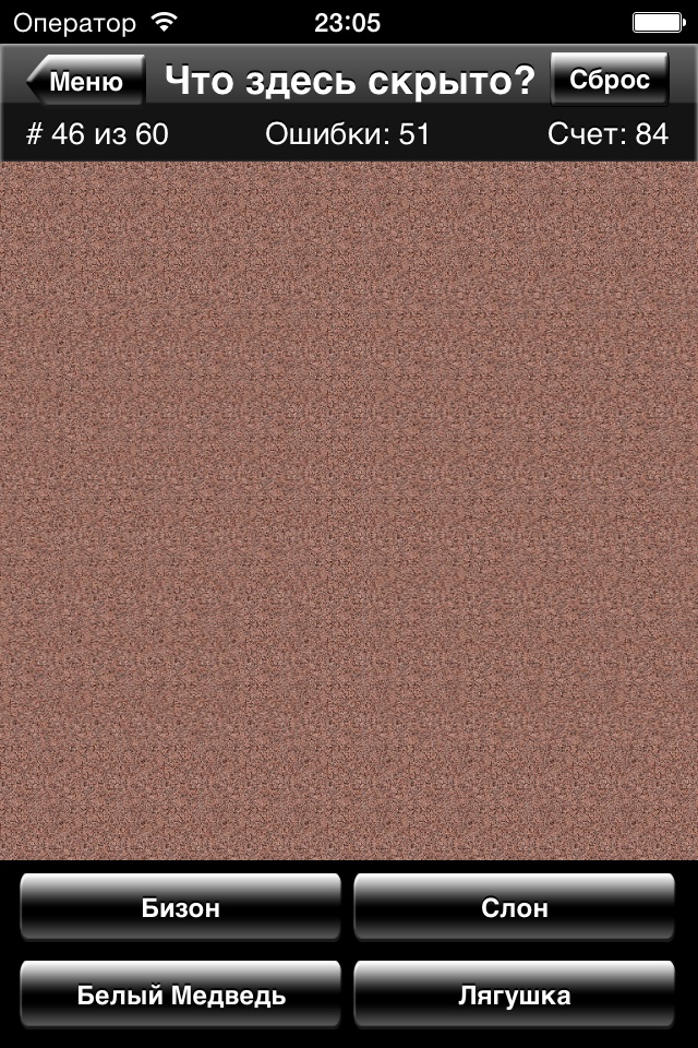 Magic Eye Stereogram Quiz screenshot 2