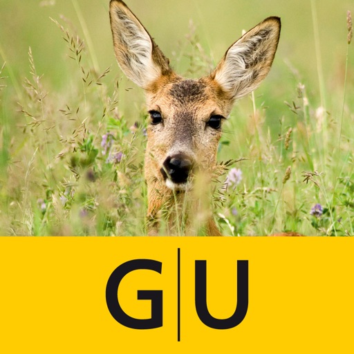 Tierspuren bestimmen – entdecken Sie die 100 wichtigsten heimischen Tierarten an ihren Spuren