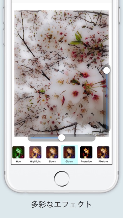 Screenshot #2 pour Filter - 写真にフィルタをかけシェアする最もシンプルな無料アプリ
