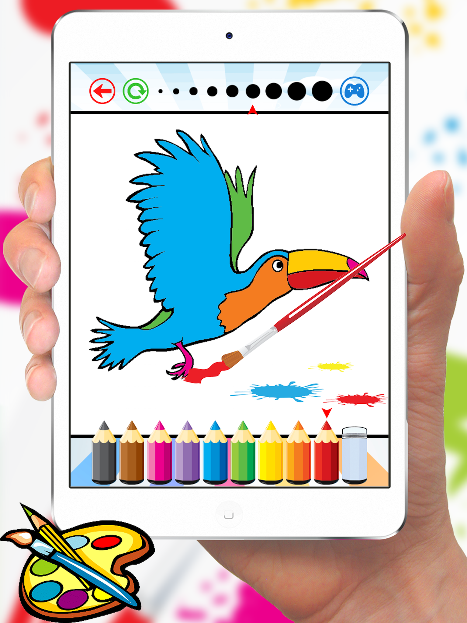 Bird Coloring Book for Kids - Children Drawing free games