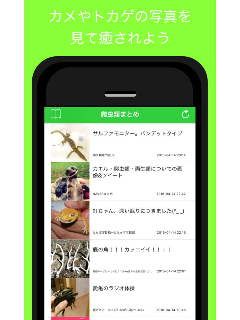 爬虫類ブログまとめ - 人気の爬虫類ブログをまとめてお届け