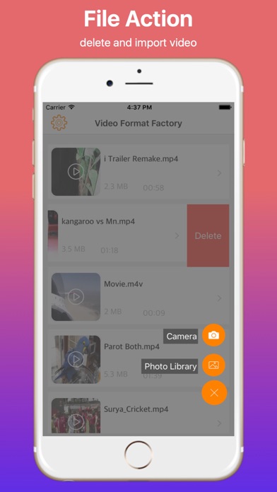 Video Format Factory Pro Screenshot 3